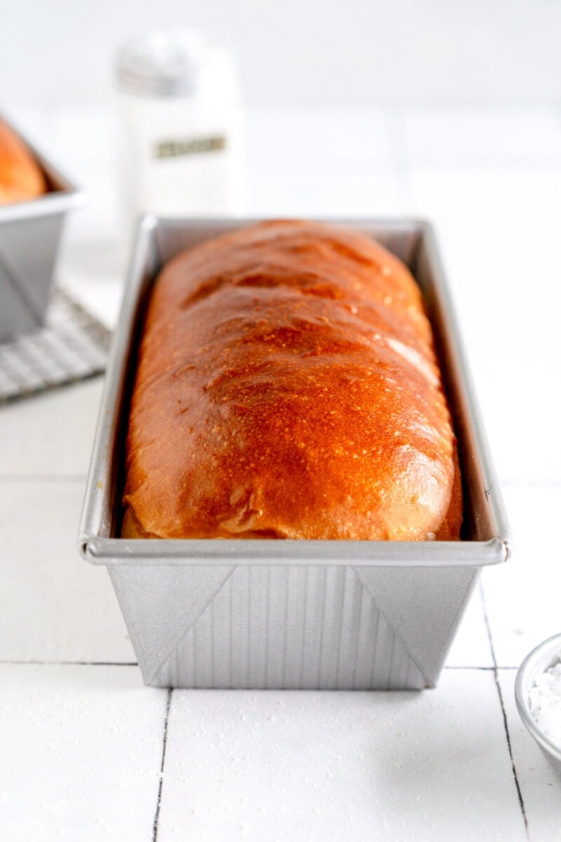 baked loaf of bread in a pan