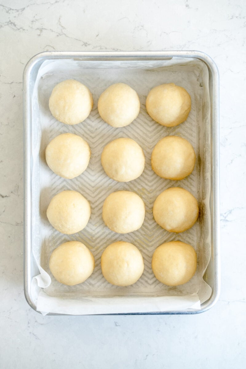 rising bread rolls in pan