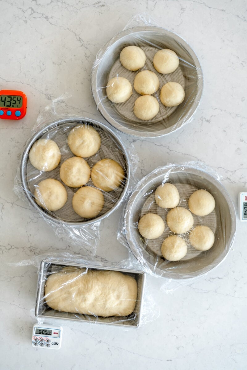 testing dinner roll rise times