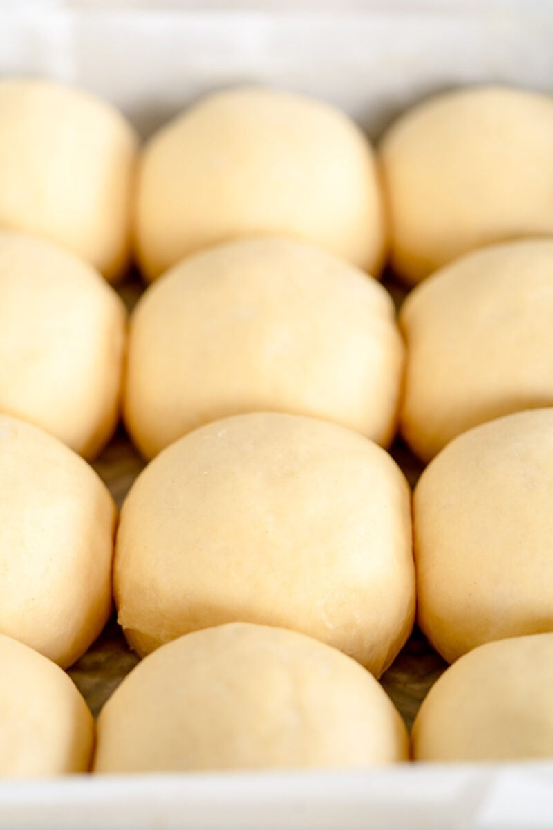 risen parker house rolls ready to bake