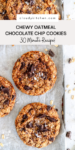 oatmeal chocolate chip cookies pin