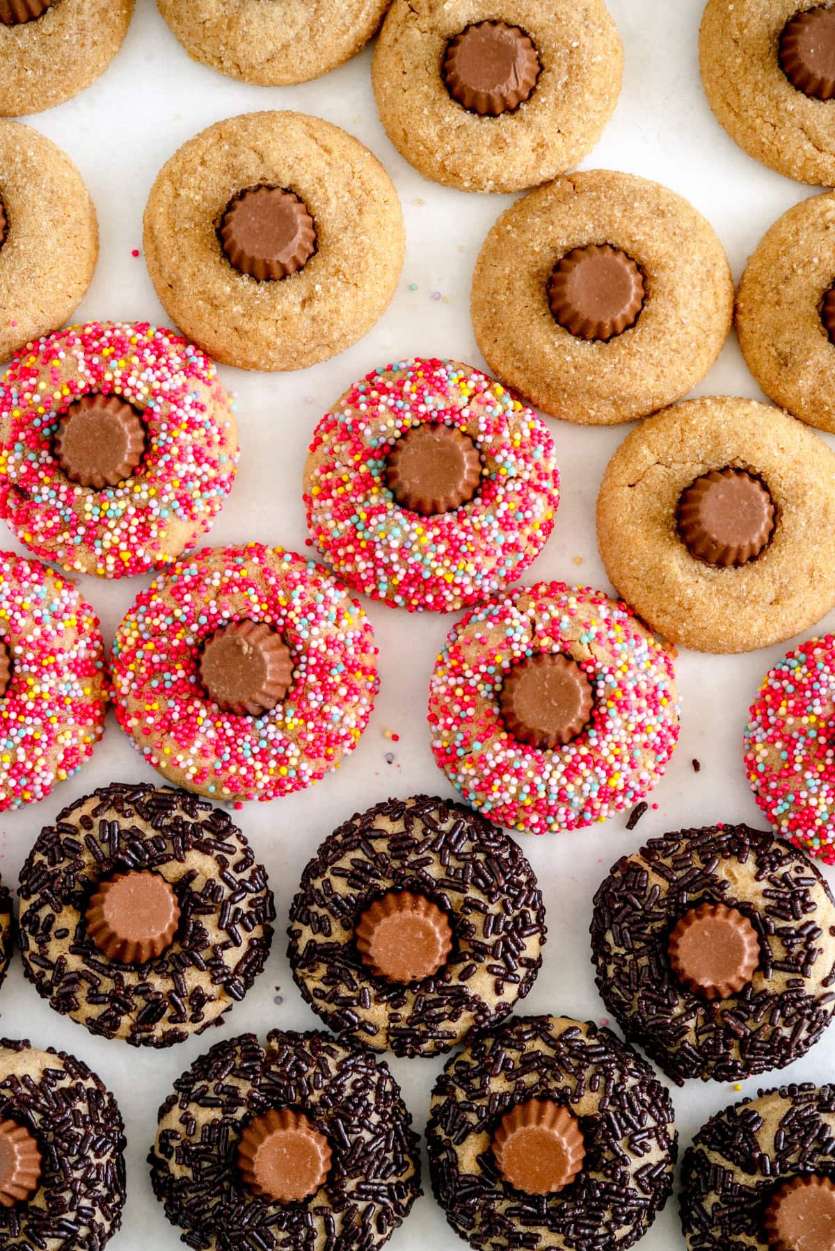 close up of peanut butter blossoms